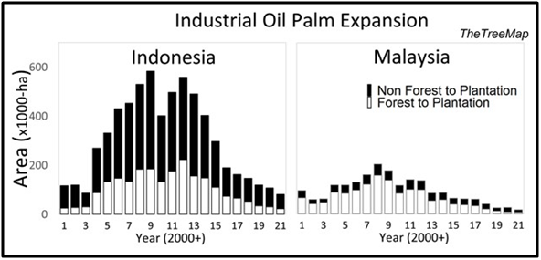 Palm oil production