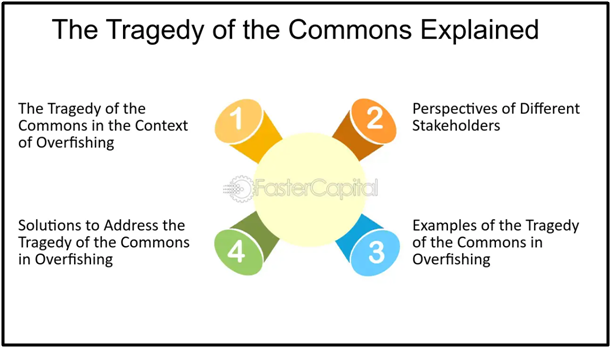 Deforestation in Indonesia