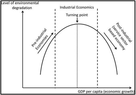 Environmental impact of palm oil